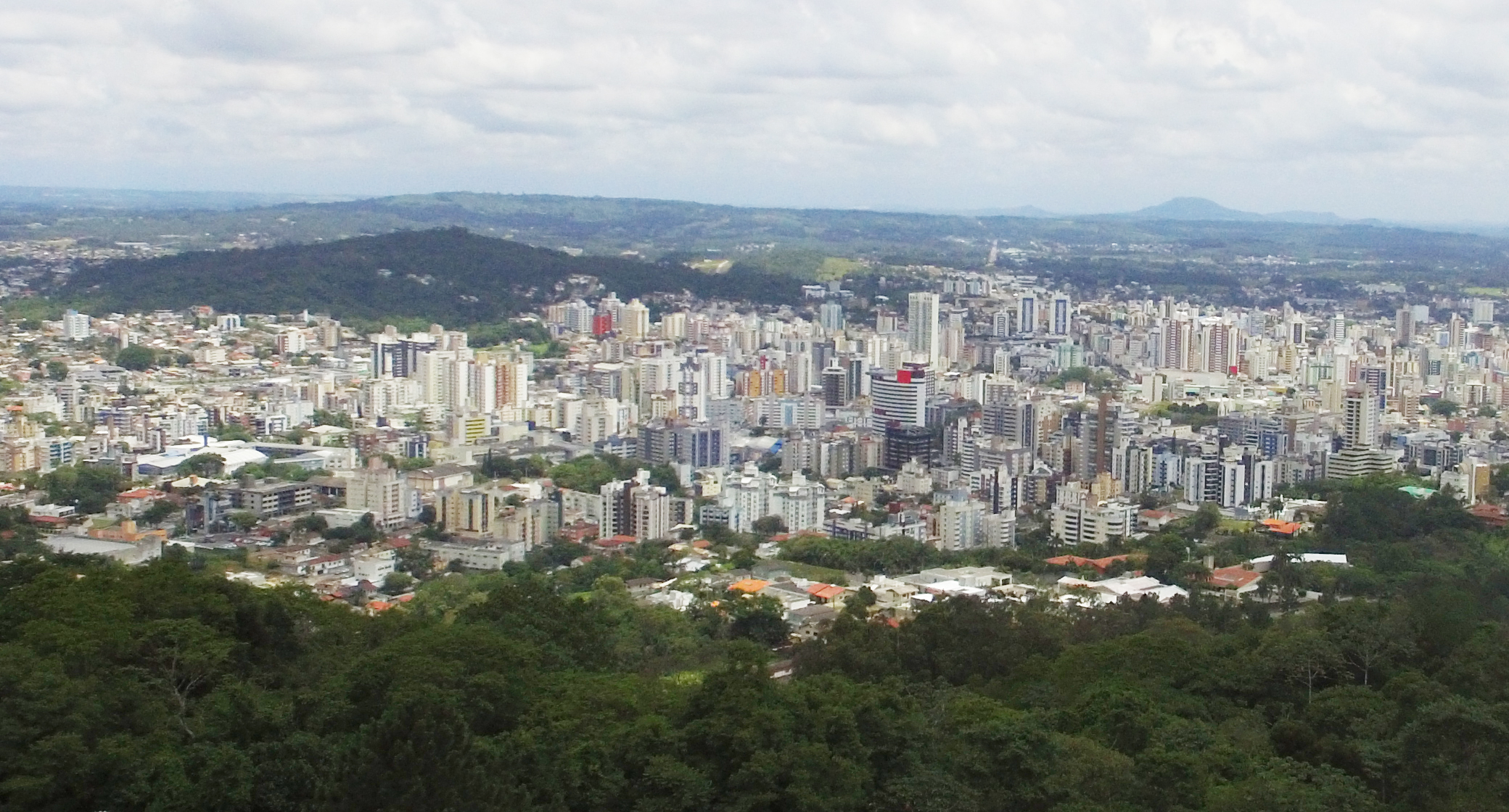 Imagem do álbum de criciúma